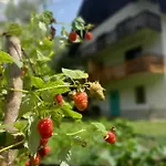 Hostel The Riverside Chill Bled