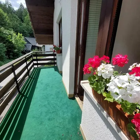 The Riverside Chill 호스텔 *