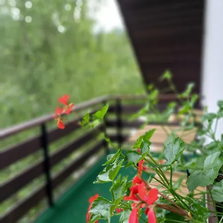 The Riverside Chill *