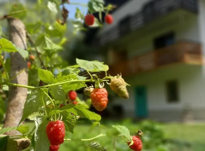 Hostal The Riverside Chill Bled