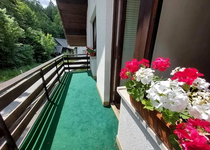 The Riverside Chill Hostal *